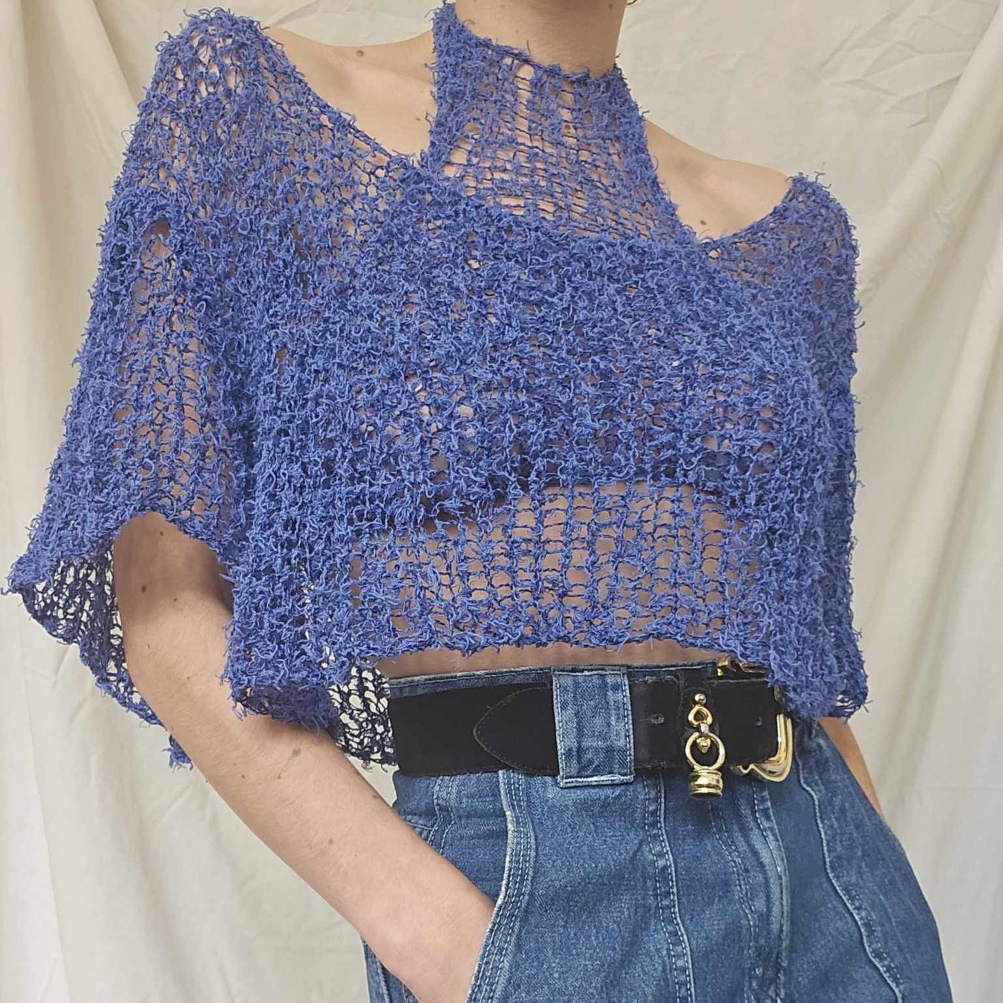 bleuet 2