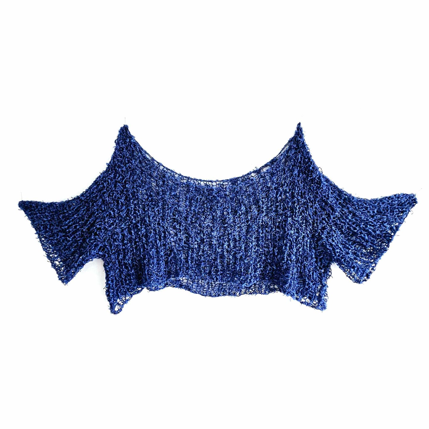 bleuet 1