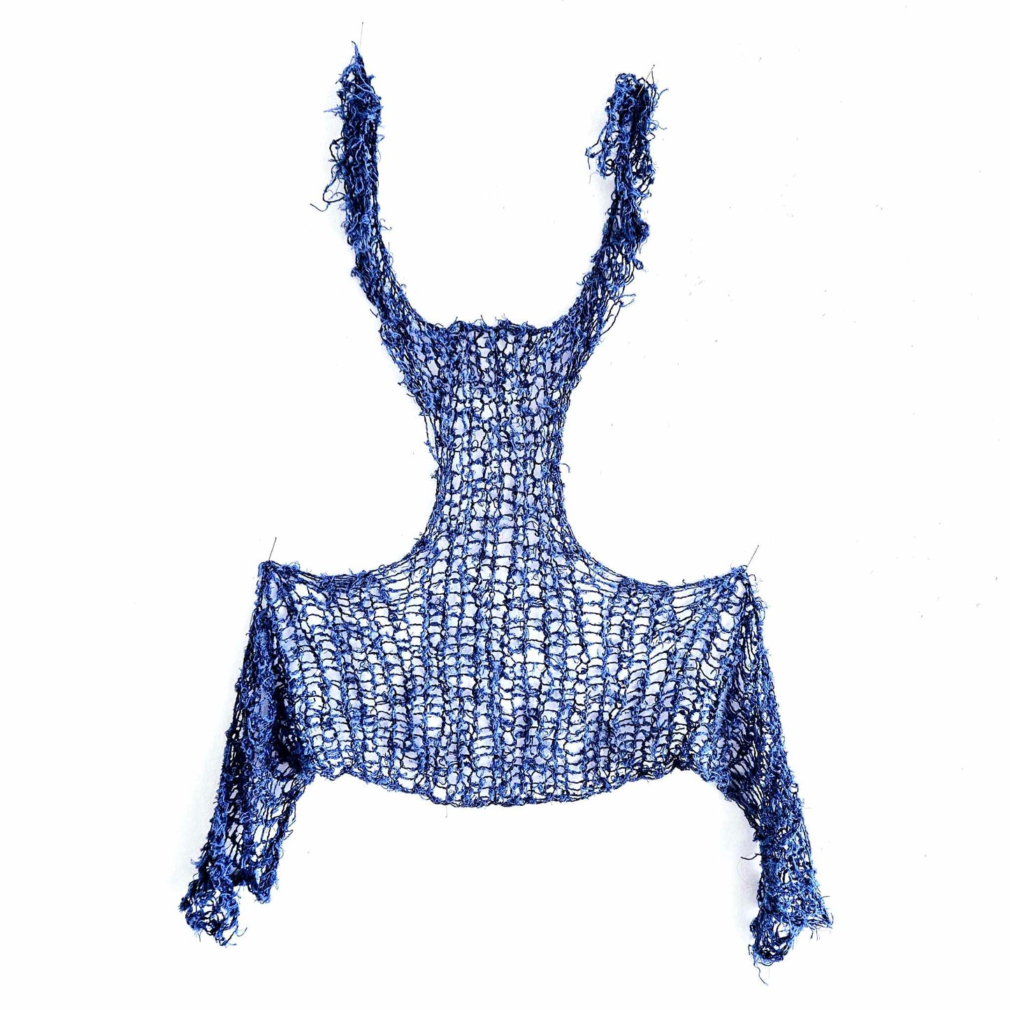 bleuet 2